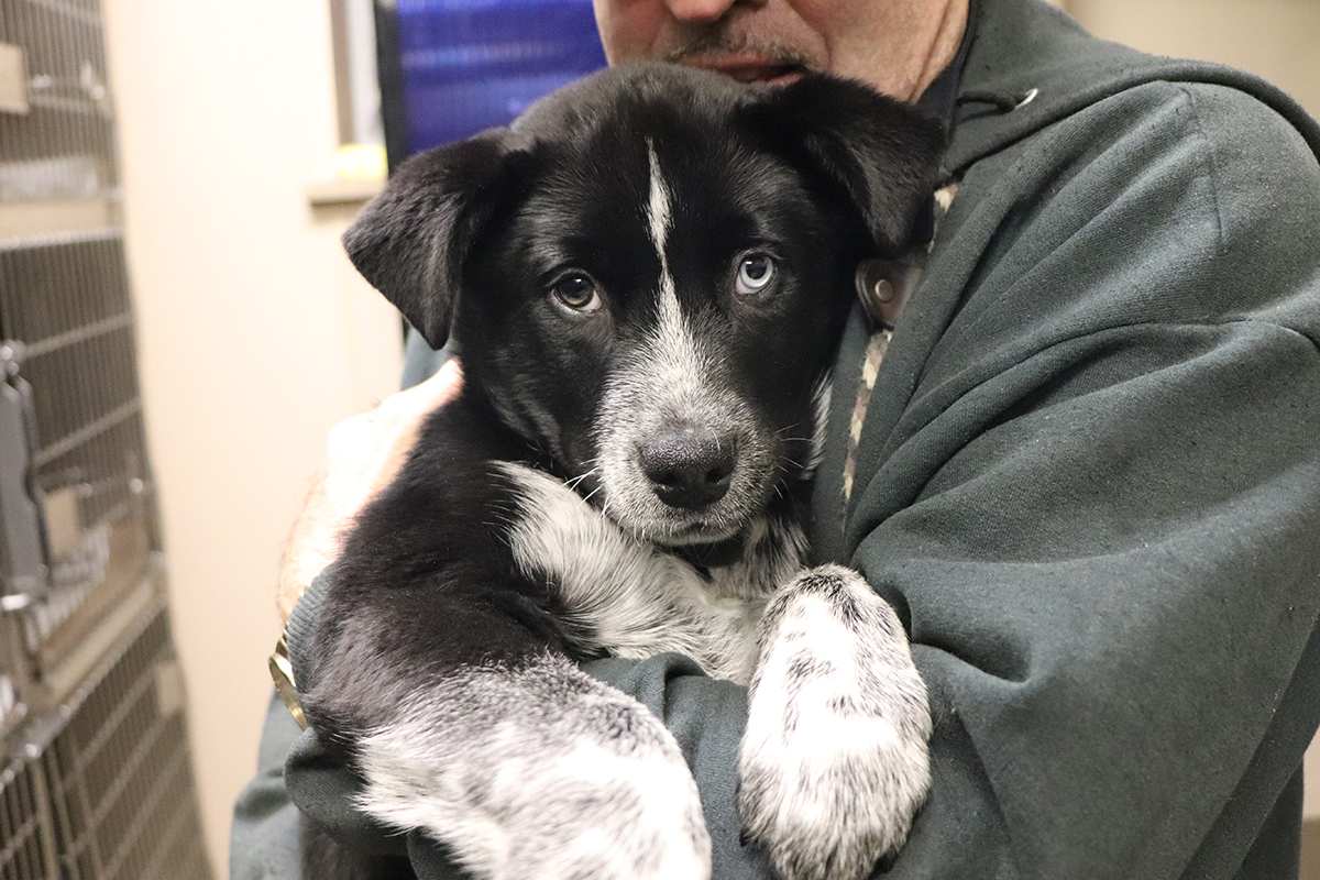 rescue-lakeland-121619-IMG_0350