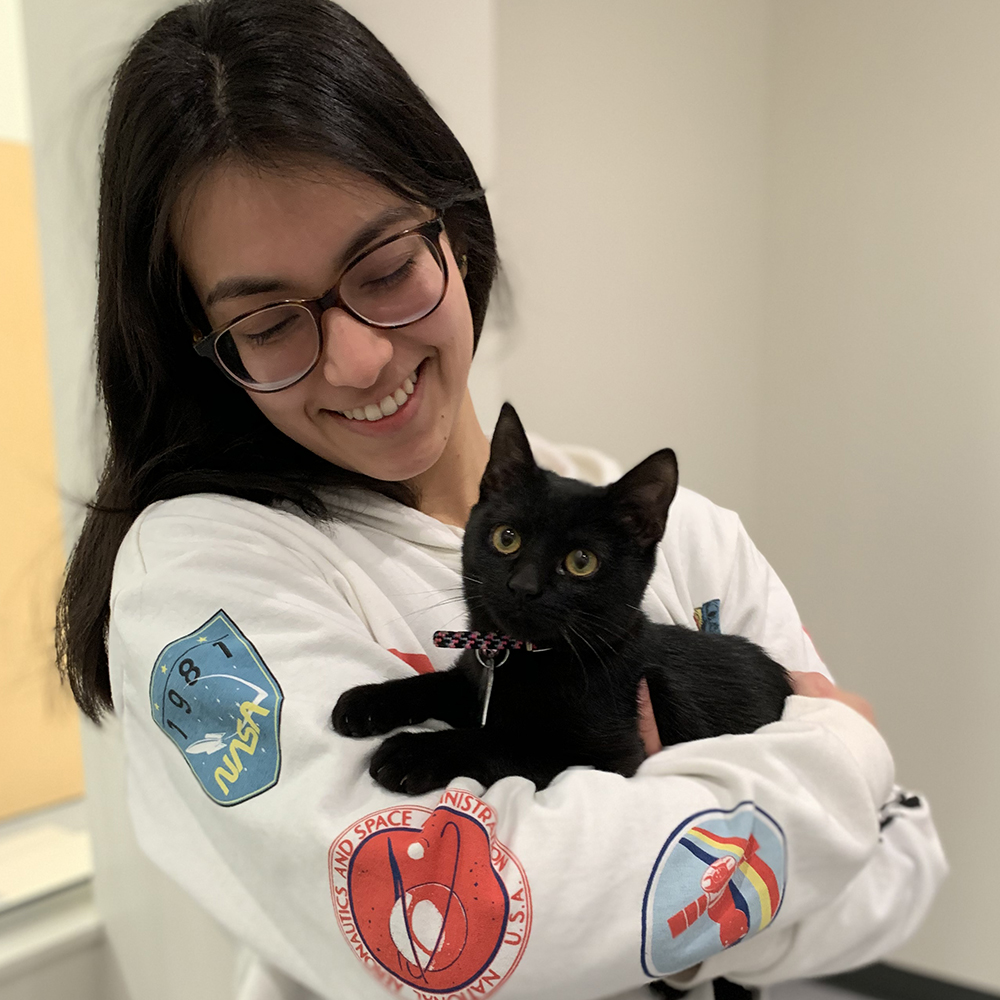 rescue-nubia-adoption-1