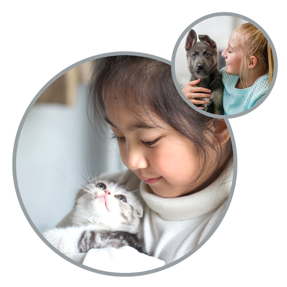 NSAL_assets_image_petplan_2020_2a a girl holding a cat and a dog