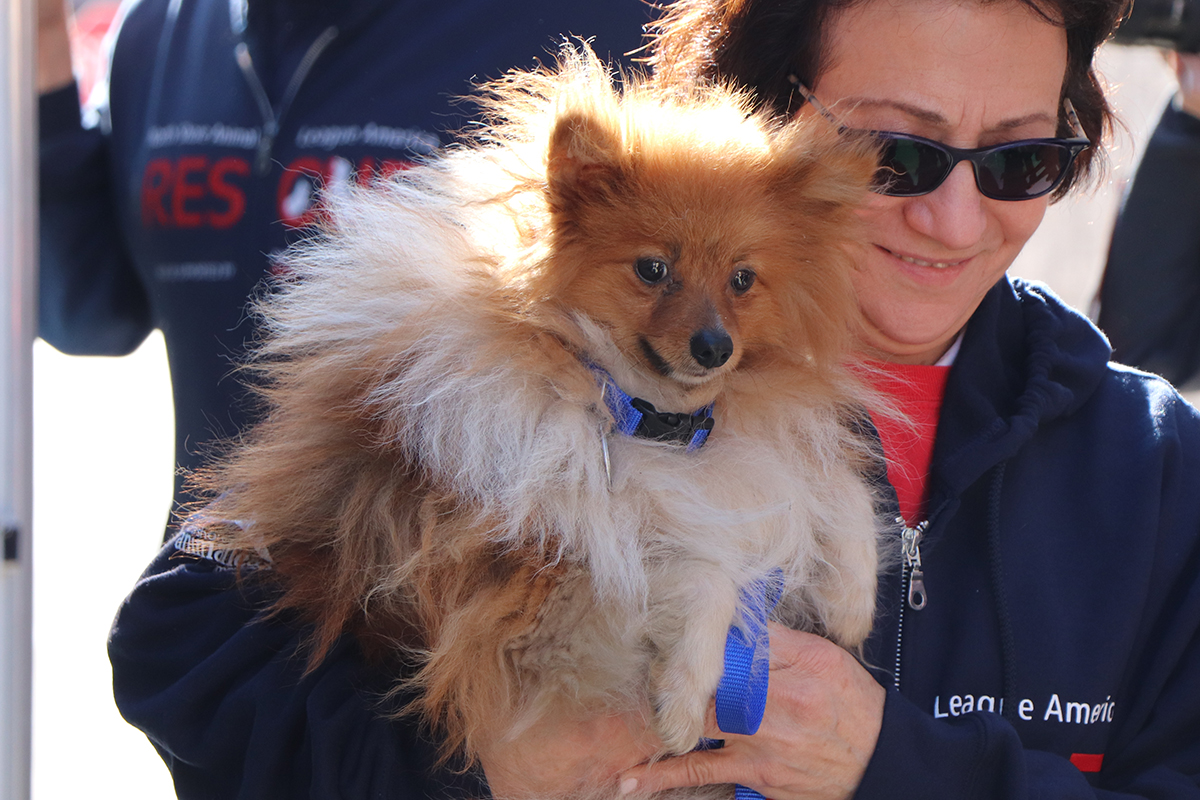 a woman holding a dog