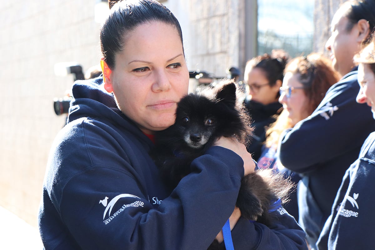 a woman holding a dog