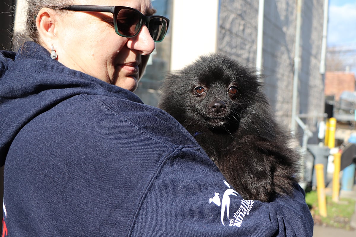 a person holding a dog
