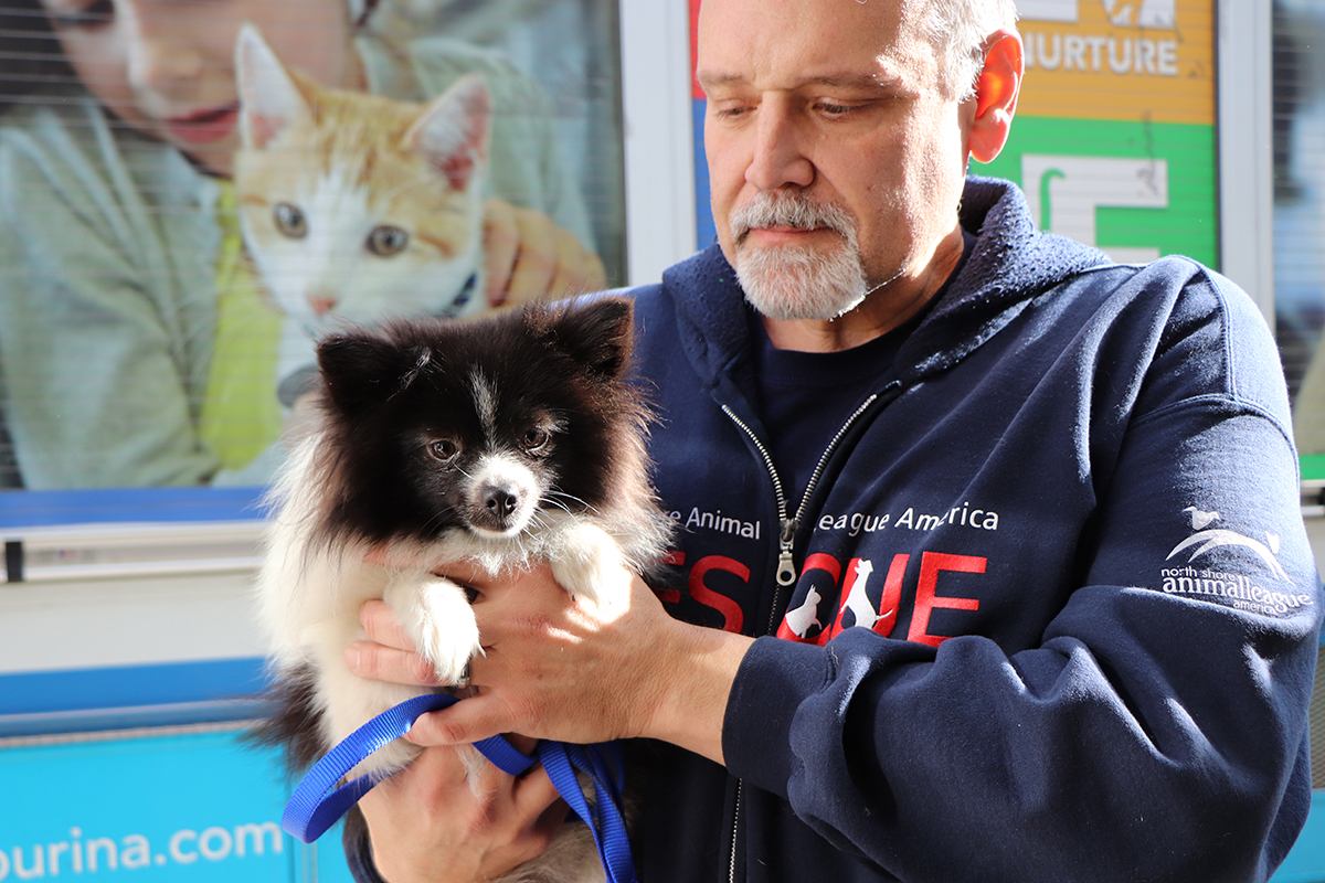 a man holding a dog