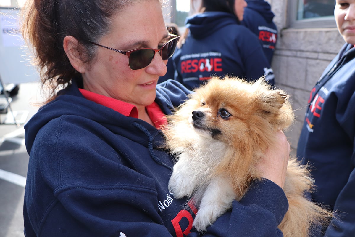 a woman holding a small dog