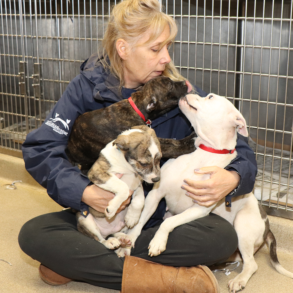 rescue-brooklyn-and-pups-IMG_7329 Emory