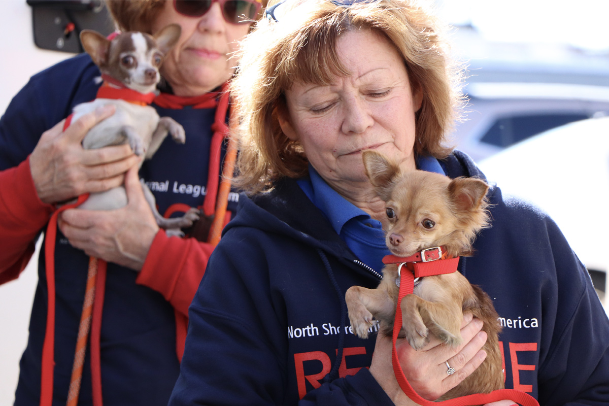 a woman holding two dogs