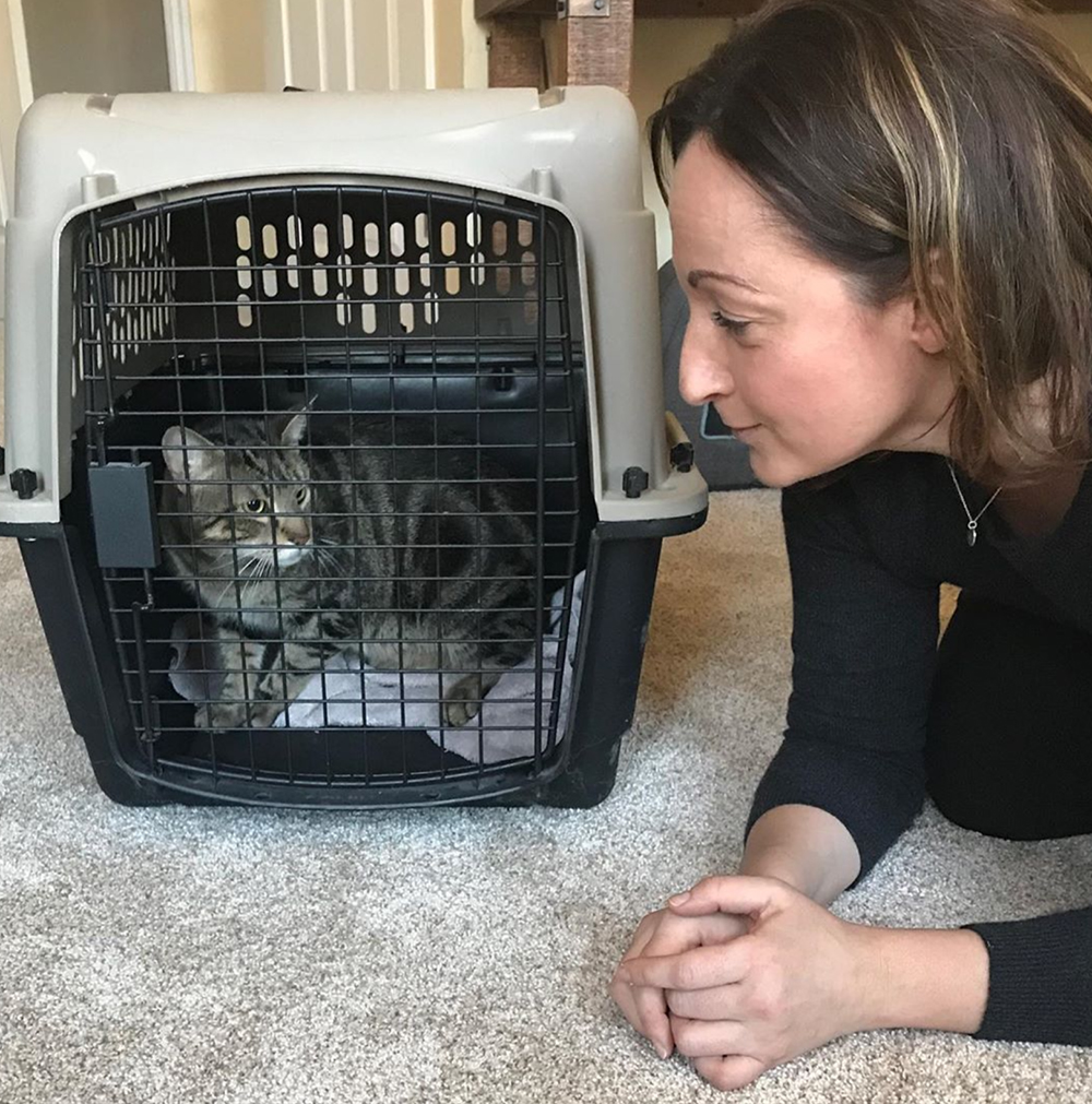 beth-blog-apr2020-shadow-adoption