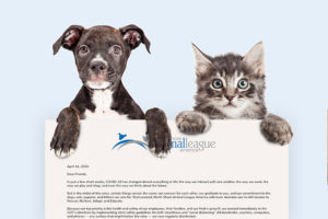 Puppy and kitten holding J. John Stevenson's letter.