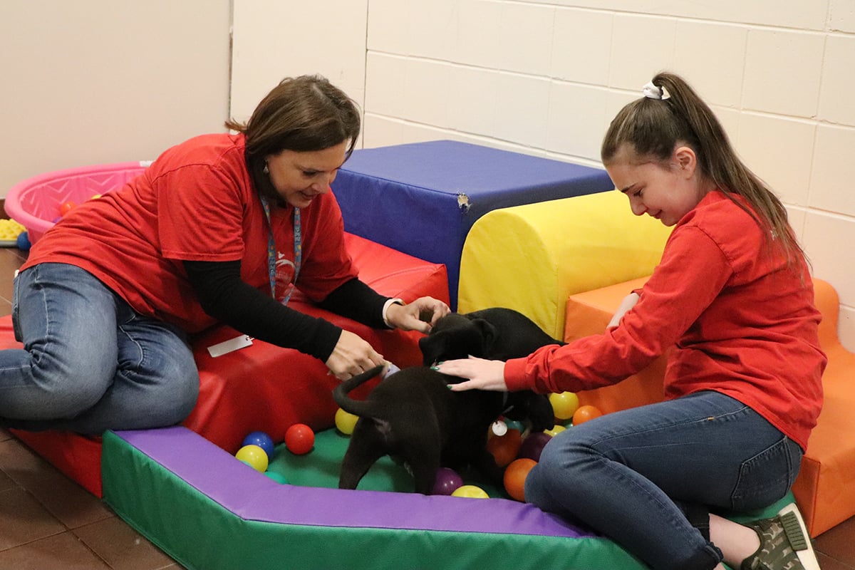 volunteer-month-2020-team-levine-puppy-play-IMG_4991