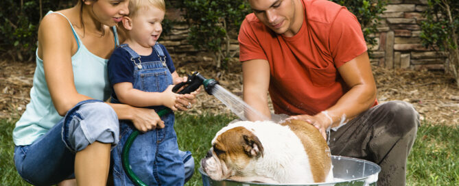 a man and child washing a dog