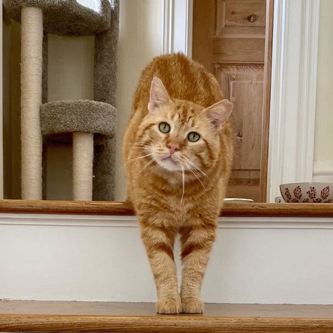 beth-blog-june2020-bubba-2