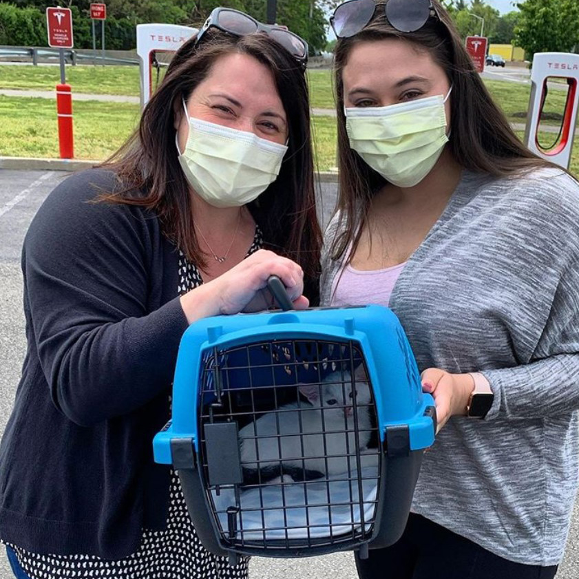 beth-blog-june2020-parcel
