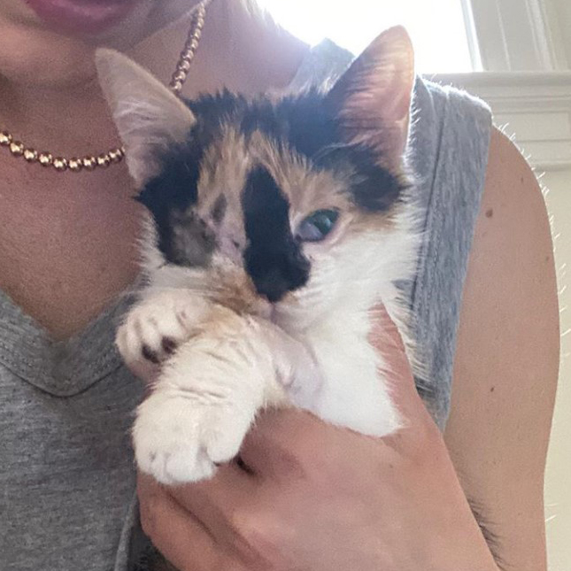 beth-blog-june2020-rainbow