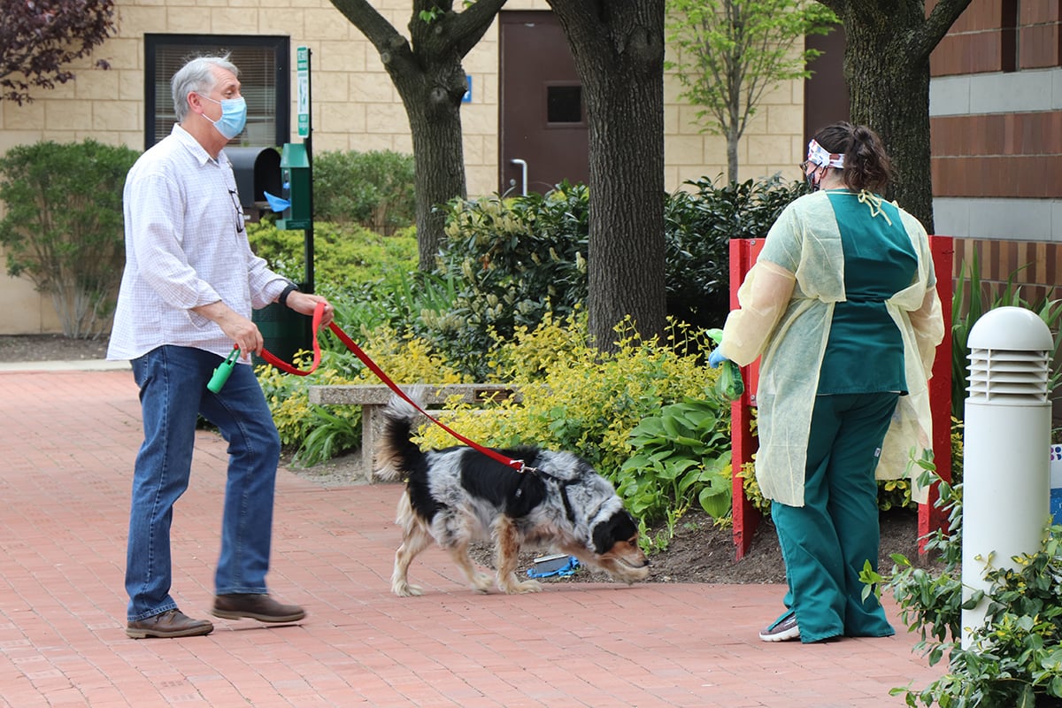 a man and woman walking a dog