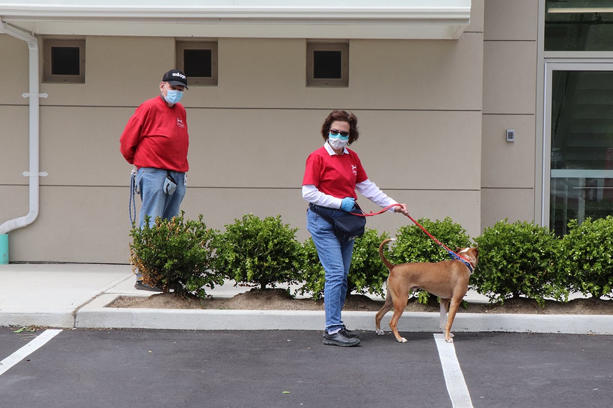 a woman wearing a mask and a dog walking on a leash