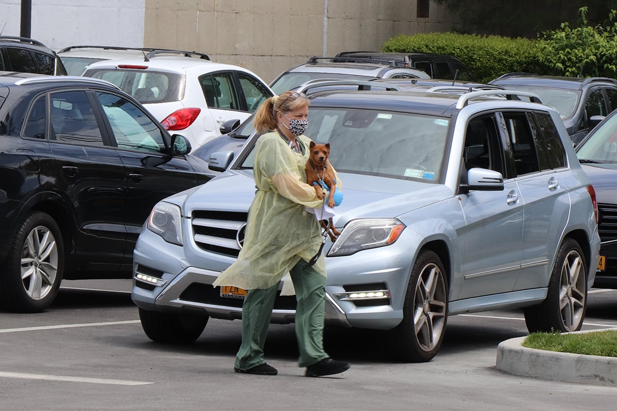 a woman wearing a face mask and holding a dog