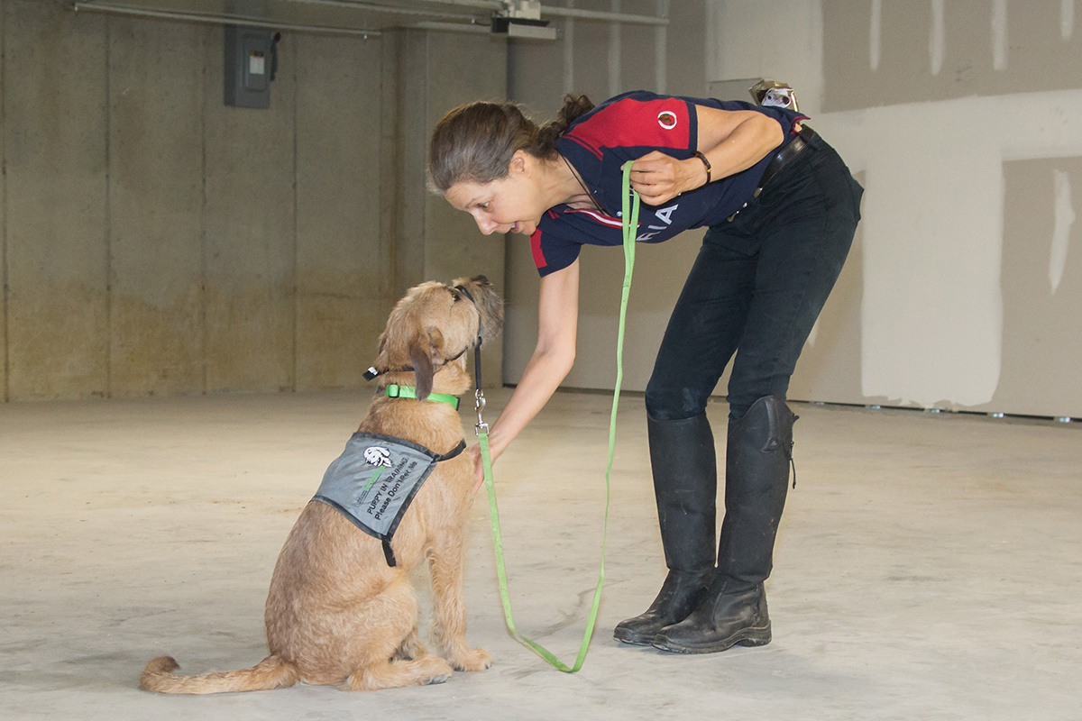 Training rescue dogs to be deals service dogs