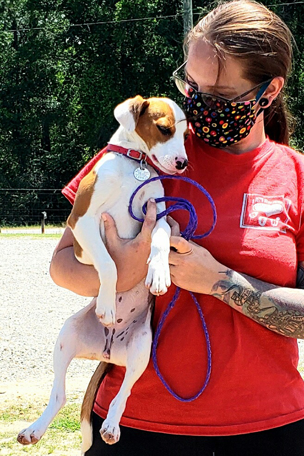 rescue-april2020-georgia-coalition-pickup-holly Holly
