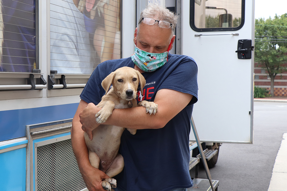New Partnership Saves More Innocent Lives in Mississippi | Rescue | Animal League New Partnership Saves More Innocent Lives in Mississippi | Rescue | Animal League