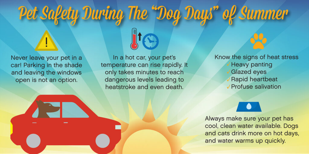 Dog Days of Summer Dog Days of Summer pet safety tips.