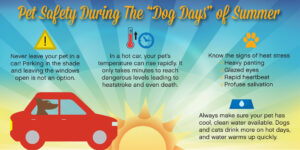 Dog Days of Summer pet safety tips.