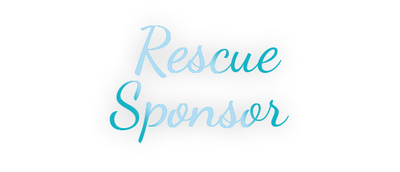 nsala-web-virtualcelebration-sponsors2a-2020