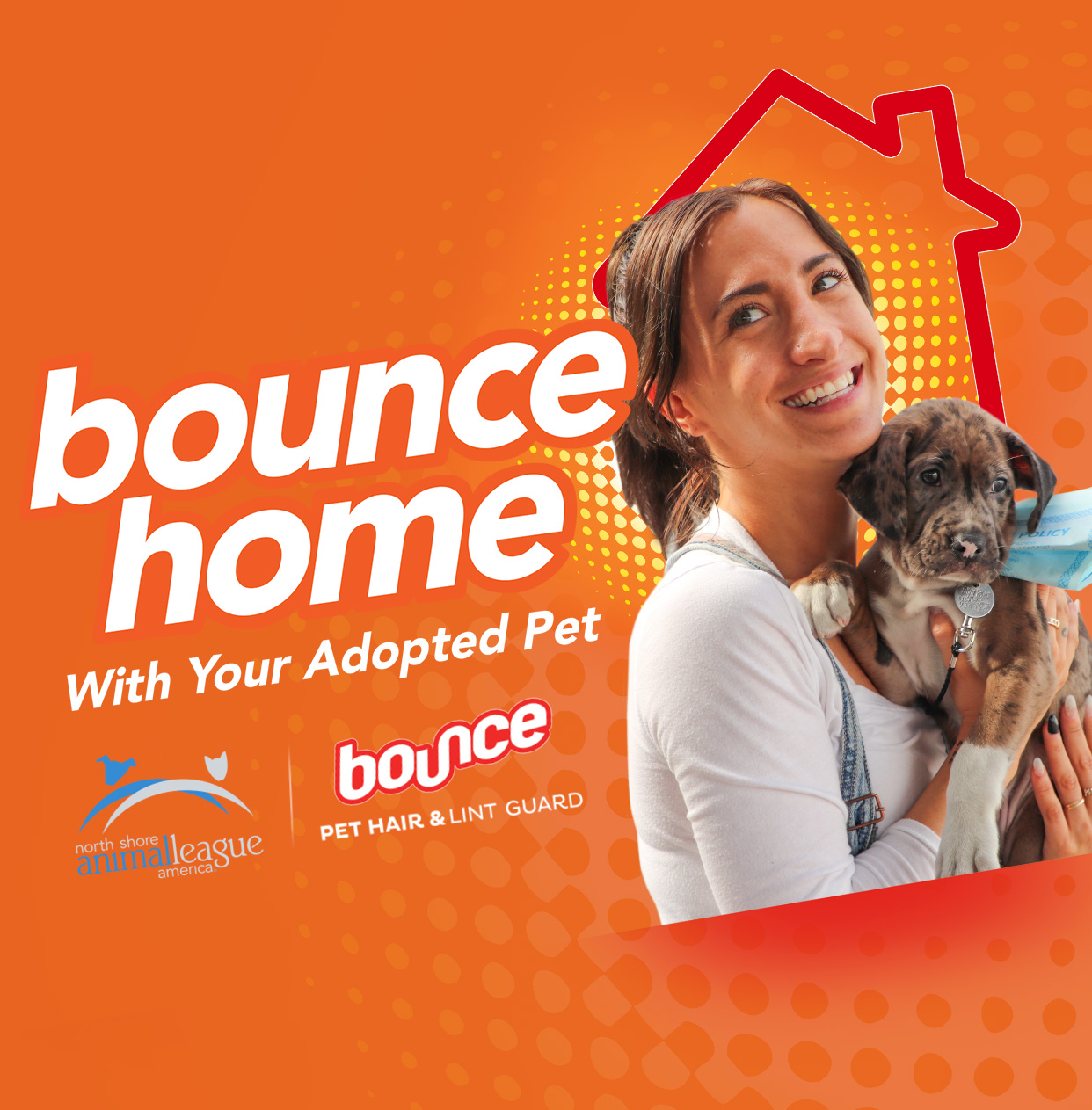 Bounce Adoption Events | Events | Animal League