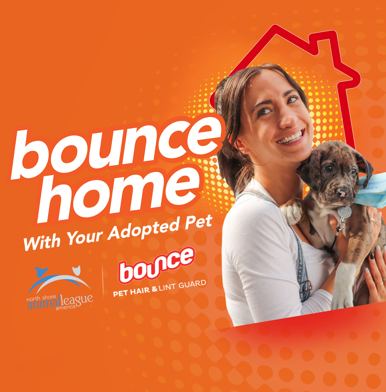 Bounce Adoption Events | Events | Animal League Bounce Adoption Events | Events | Animal League