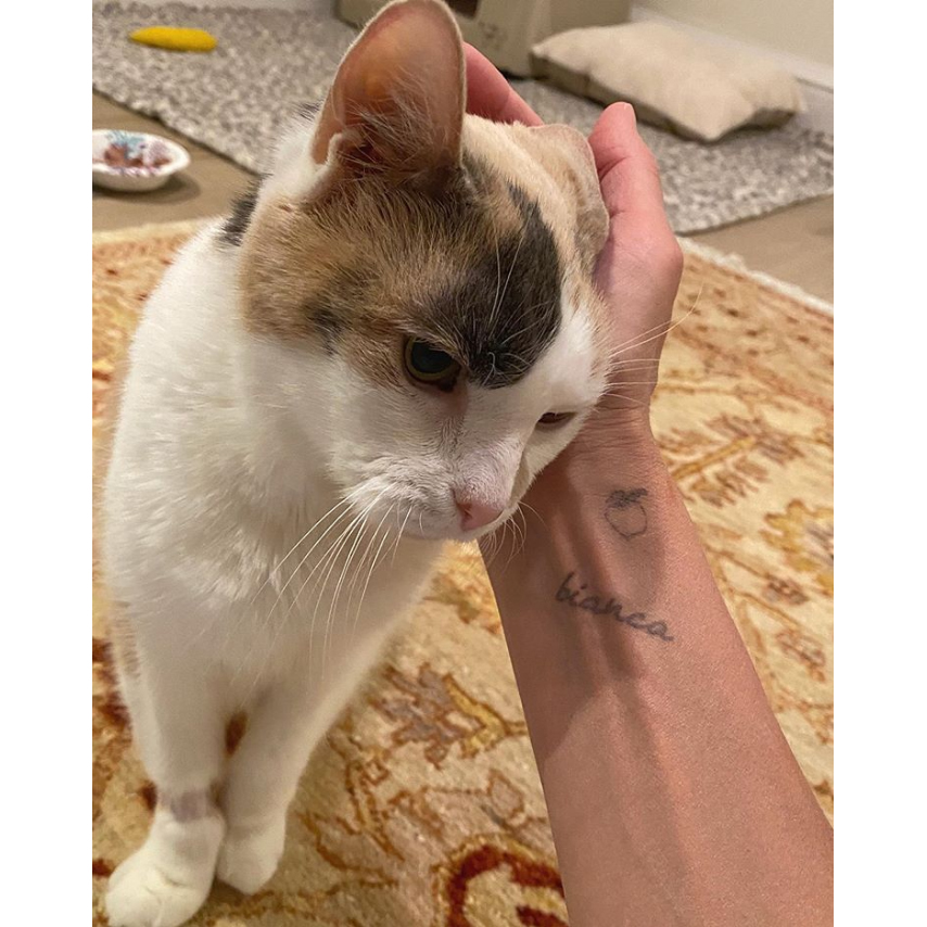 beth-blog-oct2020-grammie a person holding a cat