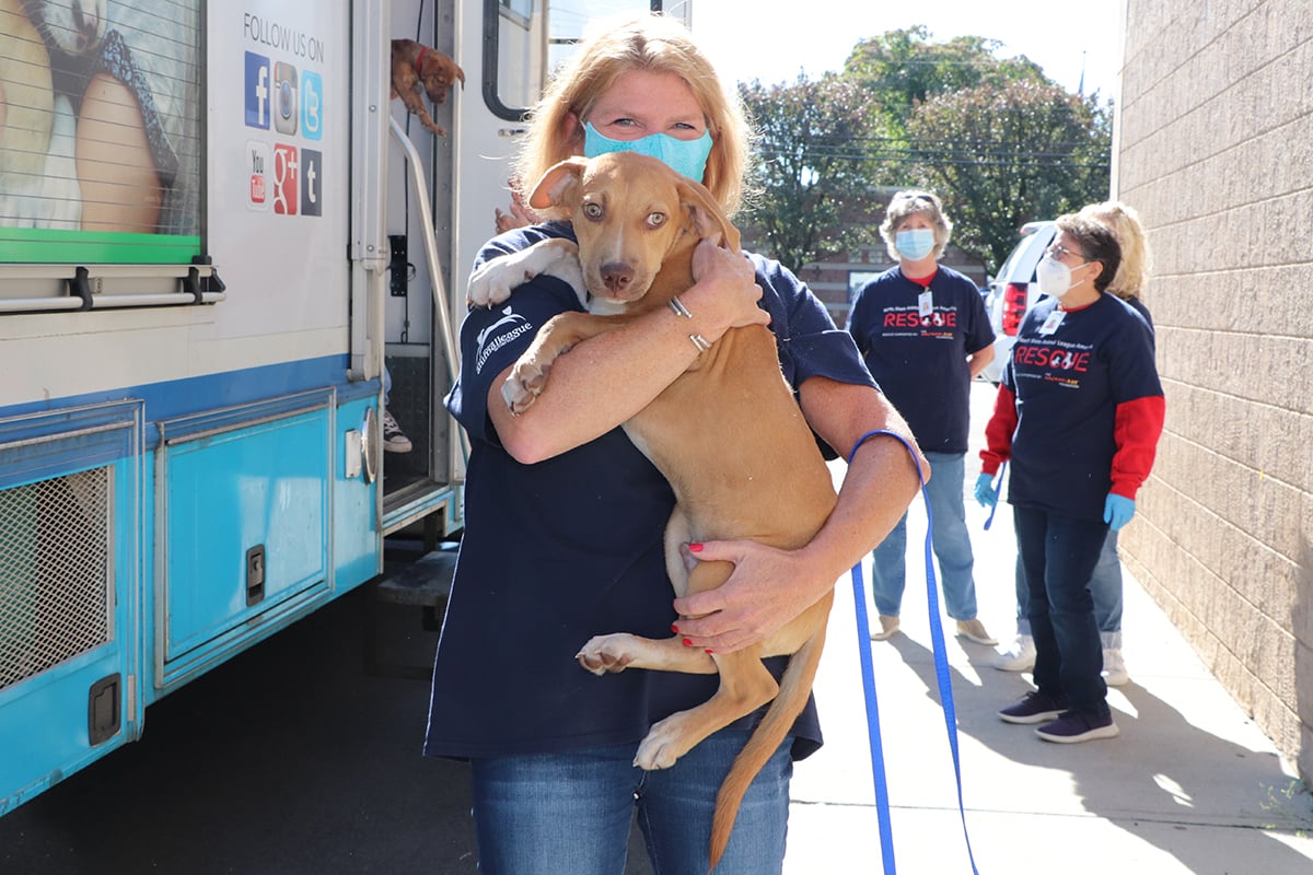 Homeless Pets Arrive from Louisiana Following Hurricane Delta | Our Latest  Rescues | Animal League