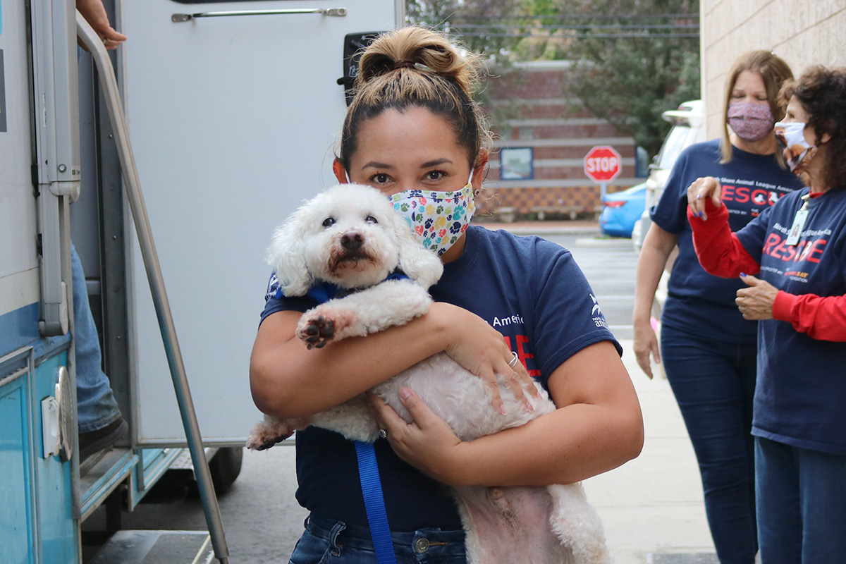 a woman wearing a mask holding a dog