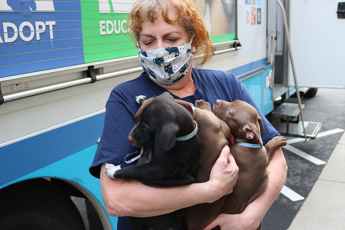 a woman wearing a mask holding puppies