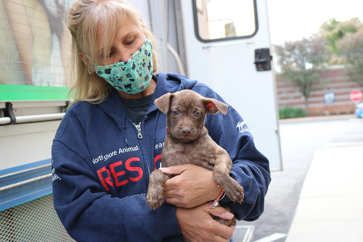 a woman wearing a mask holding a dog