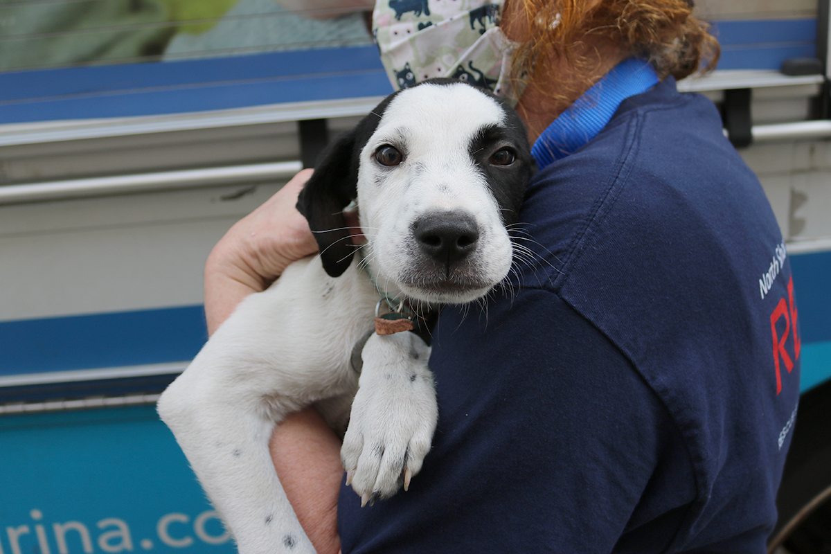 a person holding a dog