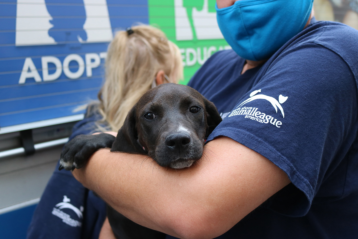 a person holding a dog