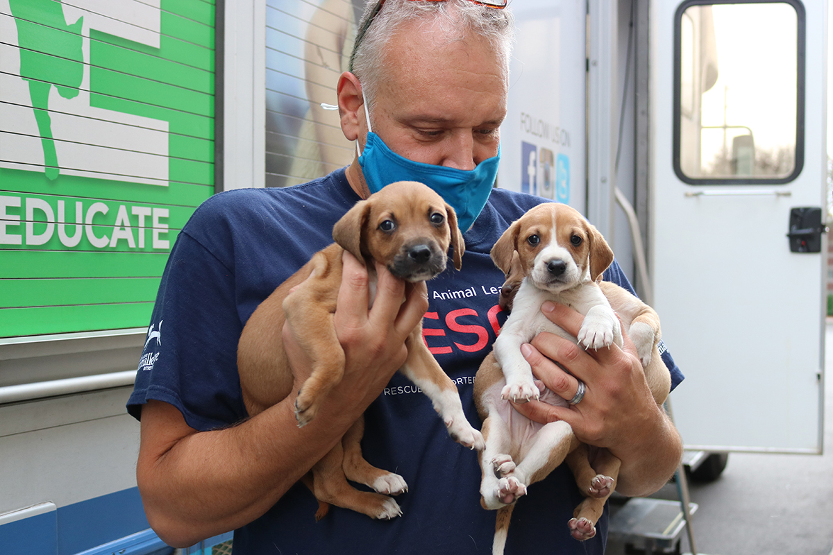 A Third Lifesaving Trip Returns from Hurricane-Devastated Southern States |  Our Latest Rescues | Animal League