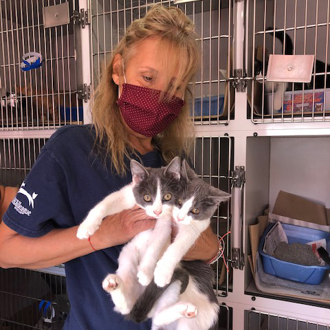 a woman wearing a mask holding two cats