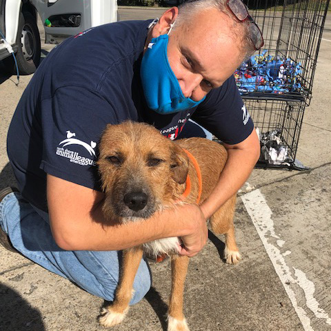 a man with a mask on his face holding a dog