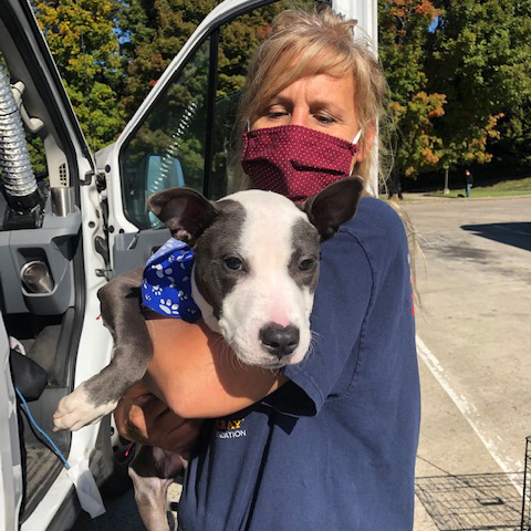 a woman wearing a mask holding a dog