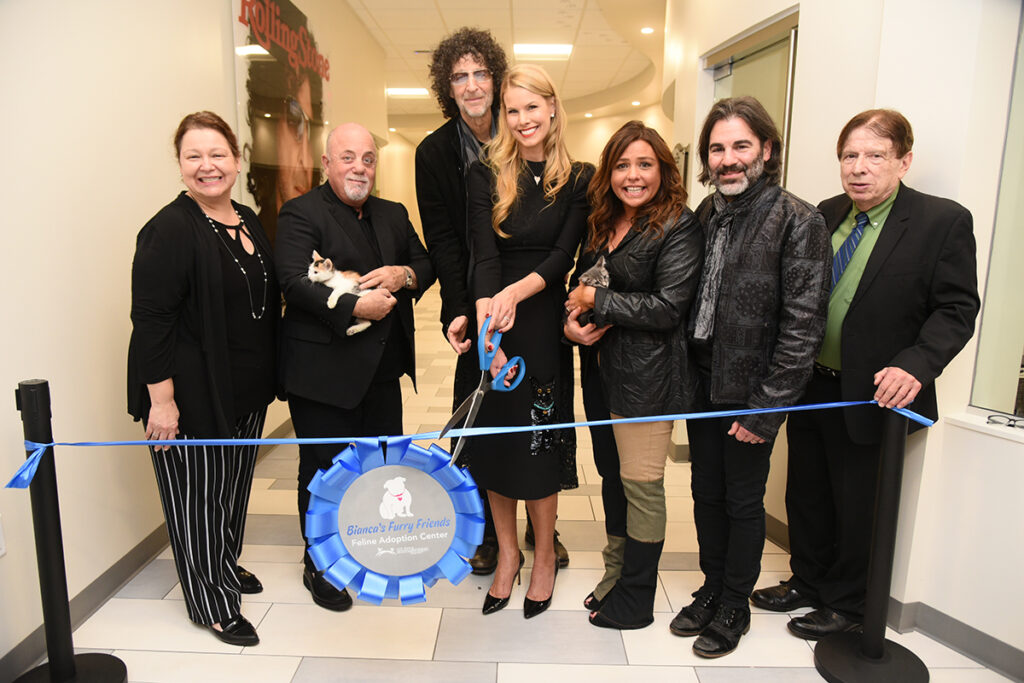 Bianca’s Furry Friends Feline Adoption Center Opens