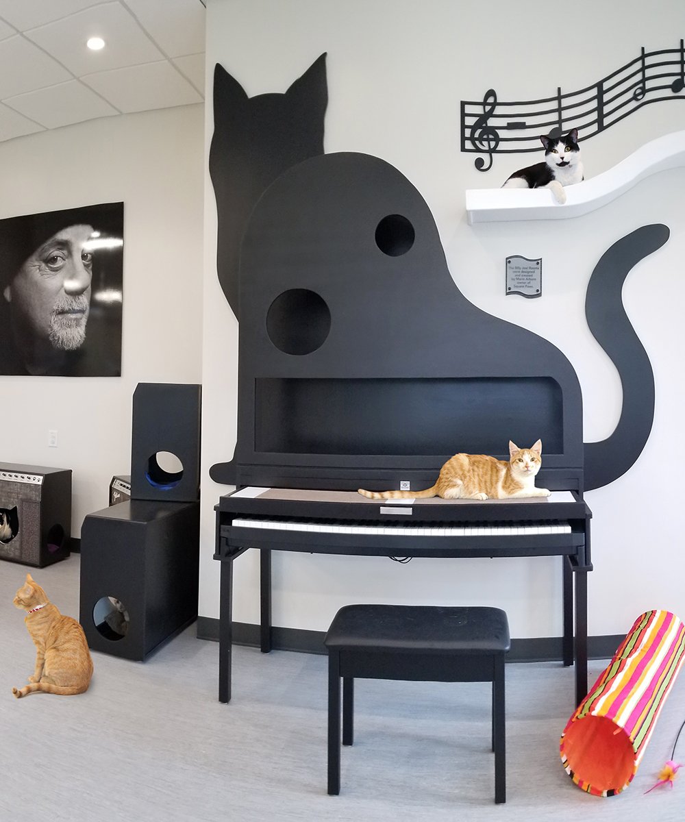 beth-blog-nov2020-bff-billy-joel-room a cat sitting on a piano