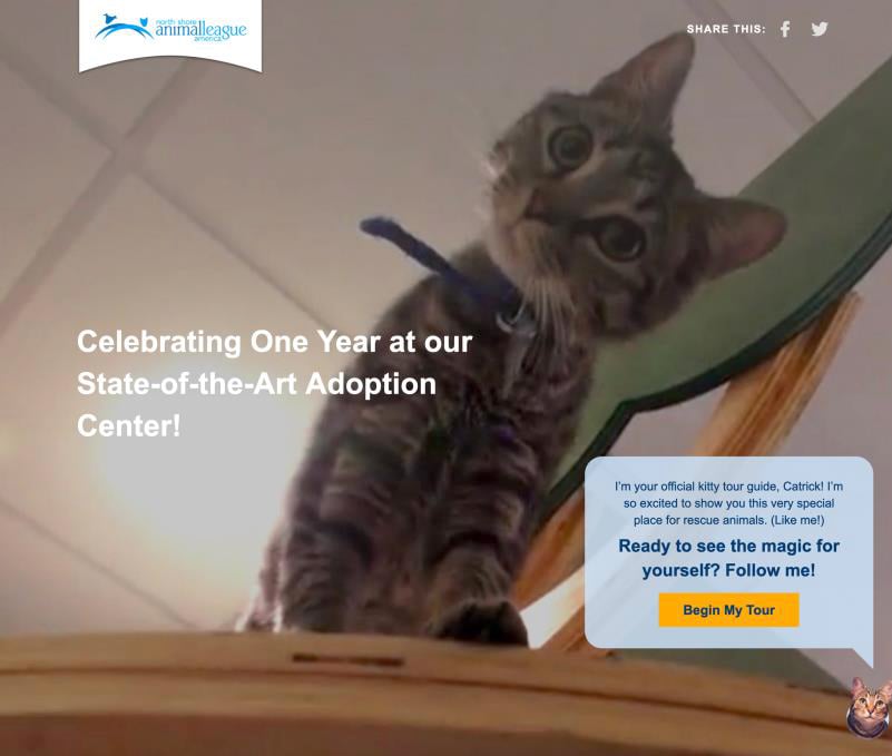 beth-blog-nov2020-bff-tour-image a cat standing on a chair
