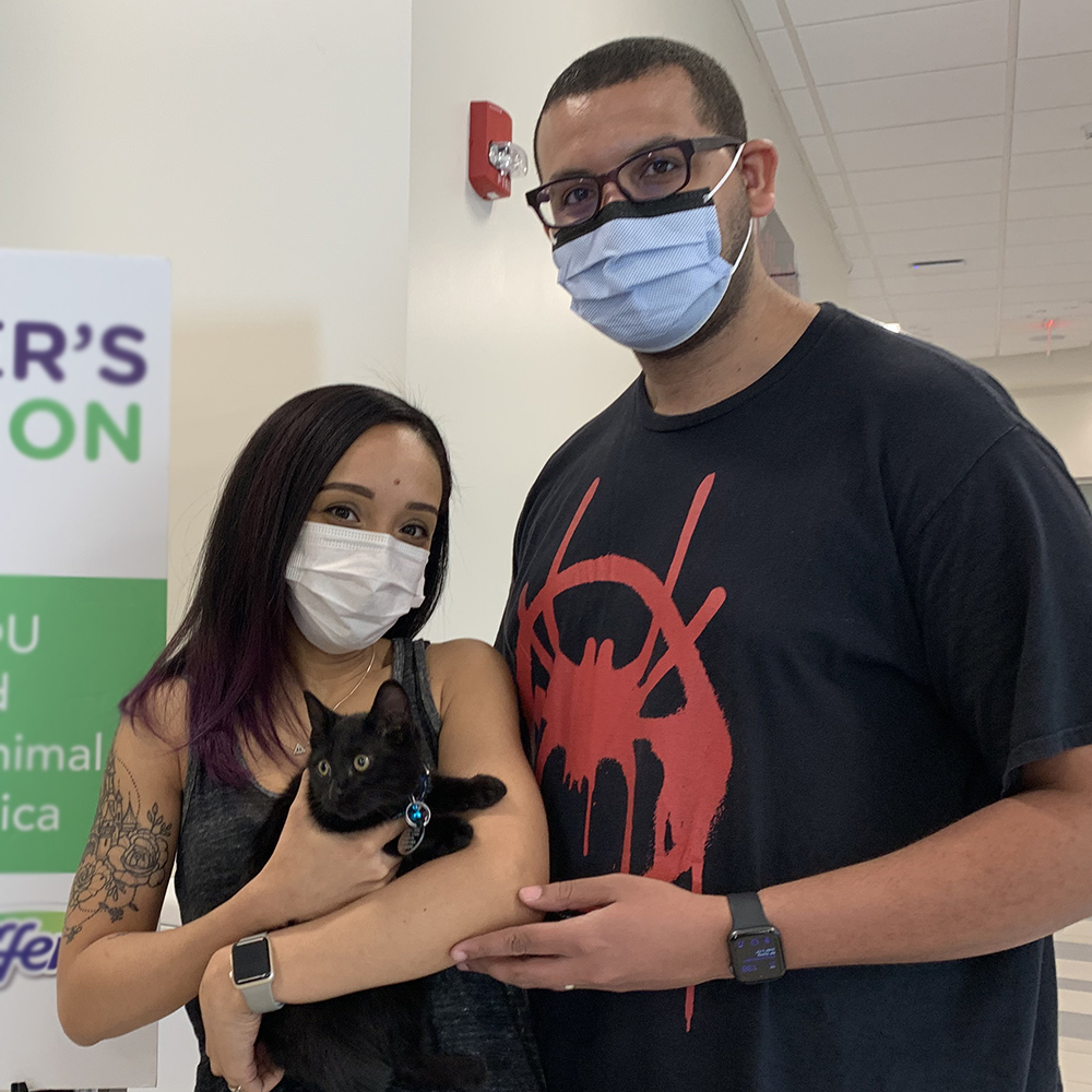 a man and woman wearing face masks holding a cat