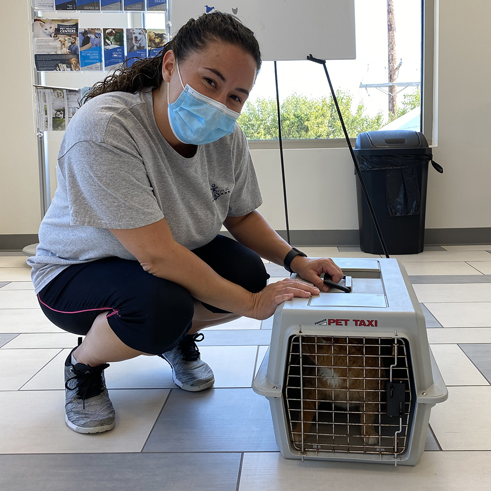 a woman wearing a mask and holding a pet taxi in a cage
