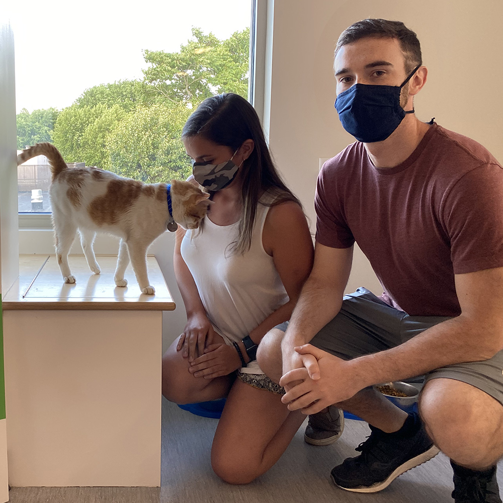 a man and woman wearing face masks and kneeling next to a cat