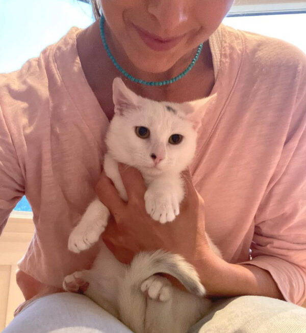beth-blog-dec2020-beth-and-elliott a woman holding a white cat