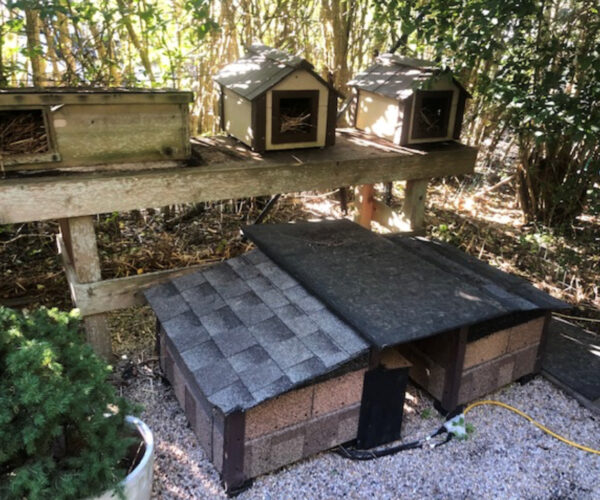 beth-blog-dec2020-stern-feral-houses a dog house with a few small houses on top of it