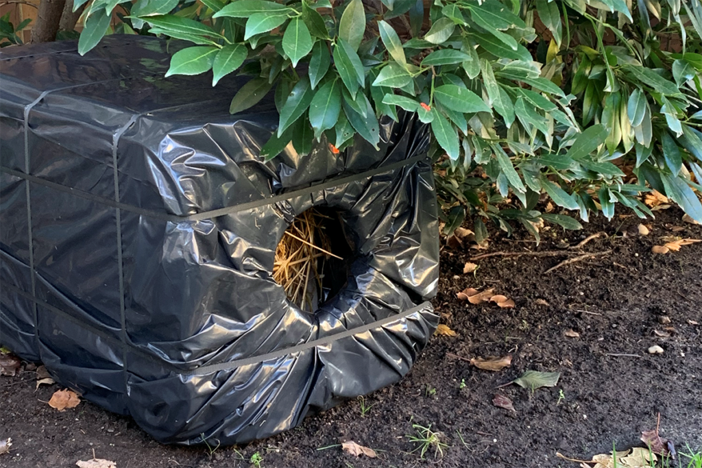 Emergency feral cat store shelter