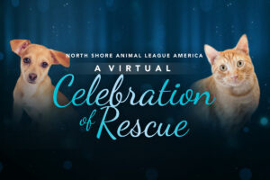 North Shore Animal League America Virtual Celebration.