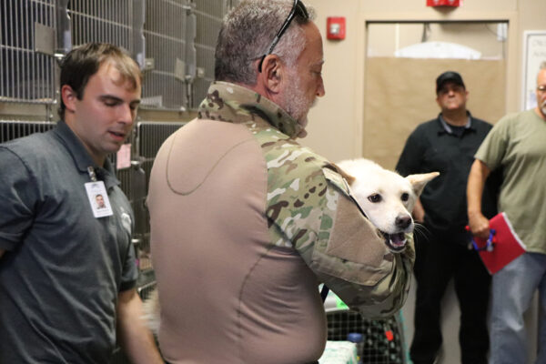 rescue-k9-korea-arrival-2019-carrying-klinger-IMG_7102